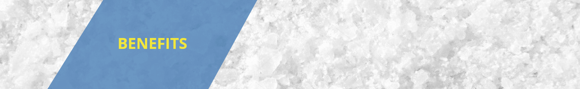 Benefits of salt water chlorinators for swimming pools SALTLOGIC